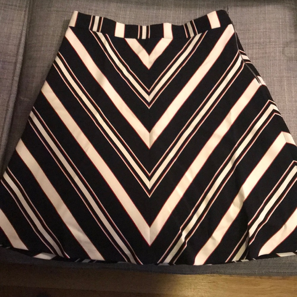 Zara Skirt
